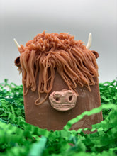 Load image into Gallery viewer, Hairy Coos!
